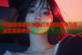 中国加强暗网治理 打击网络黑市与非法交易新举措