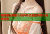暗网禁区揭秘下载黄色资源的风险与真相探索