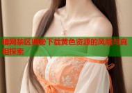 暗网禁区揭秘下载黄色资源的风险与真相探索