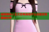 暗网揭秘十五大恐怖真相平台深度探索黑暗世界