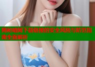 揭秘暗网下载链接的安全风险与防范指南全面解析