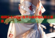 暗网安全浏览必备平台保护隐私防止泄露