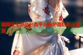 暗网安全浏览必备平台保护隐私防止泄露