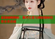美国暗网揭秘：黑市交易与网络隐秘犯罪全景透视