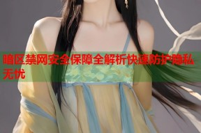 暗区禁网安全保障全解析快速防护隐私无忧