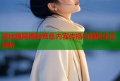 禁地暗网揭秘黄色内容传播与隐秘生态探析