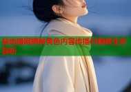 禁地暗网揭秘黄色内容传播与隐秘生态探析