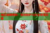 暗区禁网揭秘：高效防护与安全管理利器