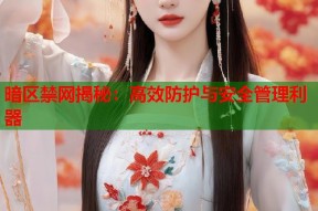暗区禁网揭秘：高效防护与安全管理利器