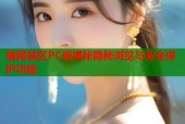 暗网禁区PC版揭秘隐秘浏览与安全保护功能