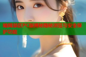 暗网禁区PC版揭秘隐秘浏览与安全保护功能