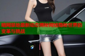 暗网禁地最新动态揭秘网络隐秘世界的变革与挑战