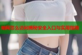 暗网怎么访问揭秘安全入口与实用指南