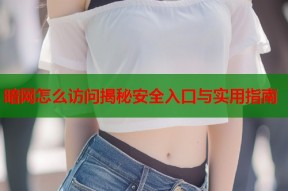 暗网怎么访问揭秘安全入口与实用指南