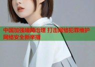 中国加强暗网治理 打击网络犯罪维护网络安全新举措