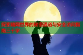 探索暗网世界的秘密通道与安全访问指南三十字