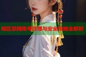 暗区禁网账号管理与安全策略全解析
