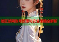 暗区禁网账号管理与安全策略全解析