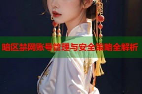 暗区禁网账号管理与安全策略全解析