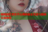 暗网禁区黄色平台揭秘最全资源与隐秘交流体验