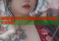 暗网禁区黄色平台揭秘最全资源与隐秘交流体验