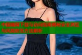 中国暗网下载与访问指南揭秘安全浏览与风险防范方法解析
