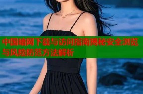 中国暗网下载与访问指南揭秘安全浏览与风险防范方法解析