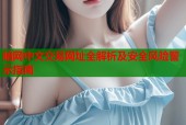 暗网中文交易网址全解析及安全风险警示指南