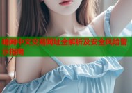 暗网中文交易网址全解析及安全风险警示指南
