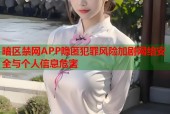 暗区禁网APP隐匿犯罪风险加剧网络安全与个人信息危害