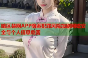 暗区禁网APP隐匿犯罪风险加剧网络安全与个人信息危害
