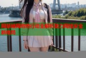 网禁暗网哟哟行动全解析助力网络安全新格局