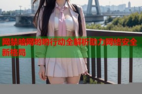 网禁暗网哟哟行动全解析助力网络安全新格局