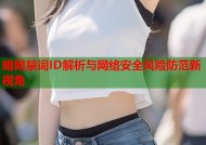 暗网禁词ID解析与网络安全风险防范新视角