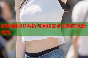 暗网禁词ID解析与网络安全风险防范新视角