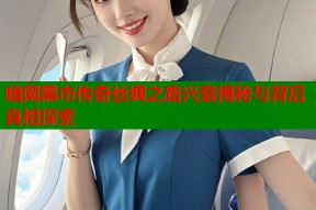 暗网黑市传奇丝绸之路兴衰揭秘与背后真相探索