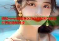揭秘www暗网禁区背后的秘密与真实世界的隐秘连接