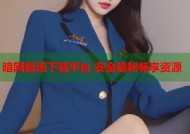 暗网极速下载平台 安全隐秘畅享资源