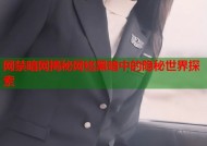 网禁暗网揭秘网络黑暗中的隐秘世界探索