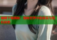 暗网下哉揭秘：隐秘世界中的真实与危机探索