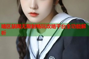 暗区禁网无限制畅玩攻略平台全功能解析