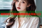 暗网禁区下载指南揭秘安全高速入口