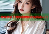 暗网禁区下载指南揭秘安全高速入口