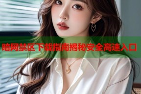 暗网禁区下载指南揭秘安全高速入口
