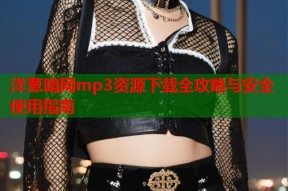 洋葱暗网mp3资源下载全攻略与安全使用指南