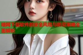 暗网下载软件的安全风险与防范策略全面解析