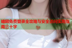 暗网免费登录全攻略与安全访问实用指南三十字