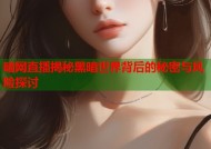 暗网直播揭秘黑暗世界背后的秘密与风险探讨