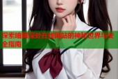 探索暗网深处在线网站的神秘世界与安全指南