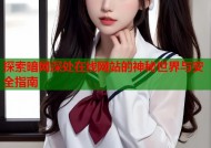 探索暗网深处在线网站的神秘世界与安全指南